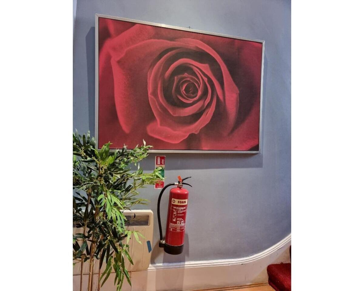 F301-Awesome 3Rd Flr Studio Fits 1 Near Hyde Park Londres Exterior foto